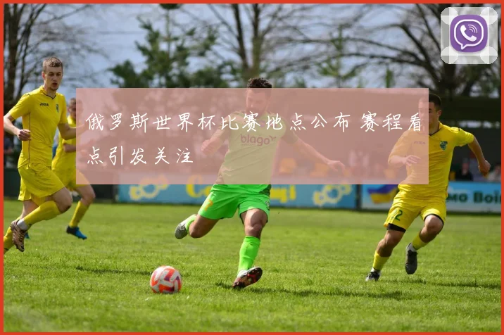 俄罗斯世界杯比赛地点公布 赛程看点引发关注