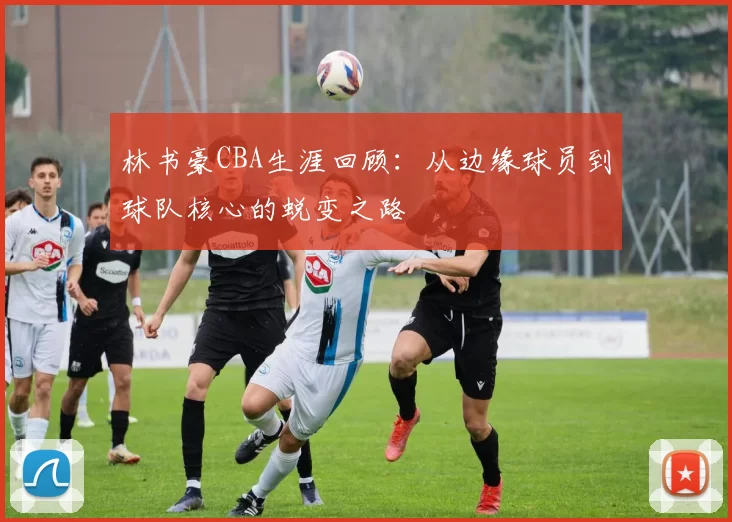 林书豪CBA生涯回顾：从边缘球员到球队核心的蜕变之路