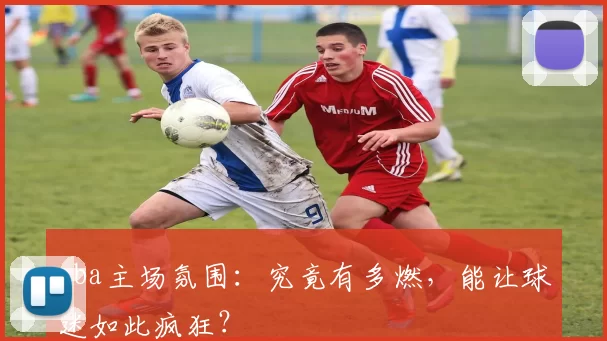 nba主场氛围：究竟有多燃，能让球迷如此疯狂？