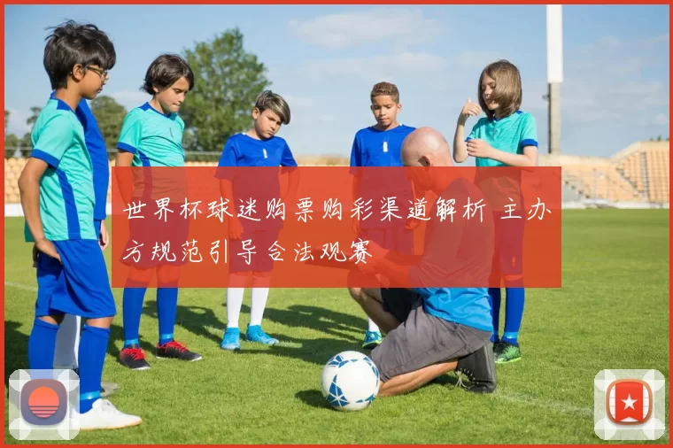 世界杯球迷购票购彩渠道解析 主办方规范引导合法观赛