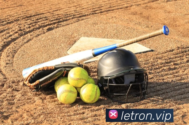 开云官方在线入口全站App